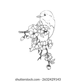 Vector illustration of a bird sitting on the cherry branch. Outline drawn. decorative elements