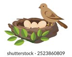 Vector illustration with a bird that is sitting next to the eggs in the nest. Nest isolated on white background Flat design element
