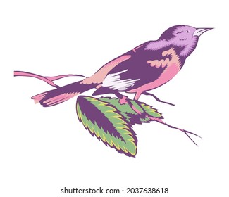 Vector illustration of bird in vintage style isolated on white background.
