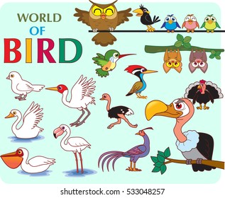 Vector illustration of Bird in the world