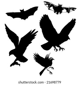 vector illustration of the birds and bats on white background