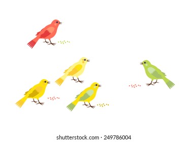 Vector illustration. Сanary birds with corn.
