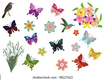 vector illustration with birds, flowers and butterflies