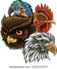 vector illustration of birds head on white background