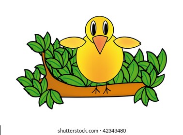 vector illustration of birds isolated on background