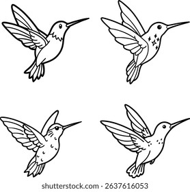 vector illustration of a birds line art