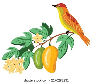 Vector illustration with birds on a pomegranate branch with fruits and flowers isolated on white. Can be used for poster, packing, fabric, invitation or scrapbook