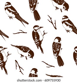 Vector illustration of birds seamless pattern. Beautiful brown birds on white background.
