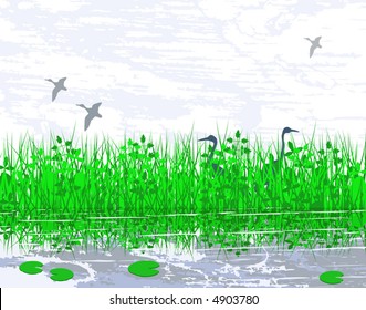 Vector illustration of birds in a wetland habitat