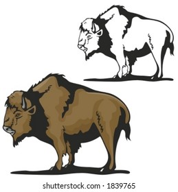 Vector illustration of a bison.