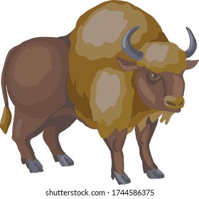 ilustración vectorial de bisonte en colores naturales
