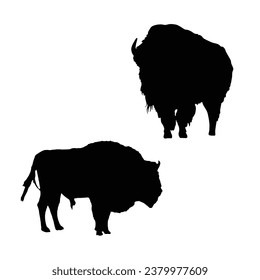 Vector Illustration of Bison Silhouette