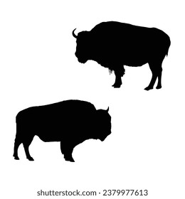 Vector Illustration of Bison Silhouette