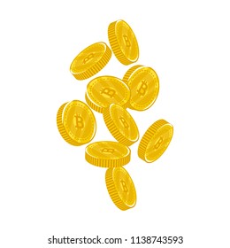 Vector illustration, bitcoin cryptocurrency group on the white background.