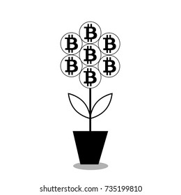 vector illustration of bitcoin flower in the pot. black silhouette, icon, clip art isolated on white background. 