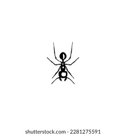  vector illustration of black ant