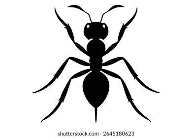 Ilustração vetorial de uma silhueta de formiga preta vista de cima contra um fundo branco A formiga é representada em um estilo simples e arrojado com pernas e antenas detalhadas