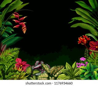 vector illustration of the black background with the nature accent