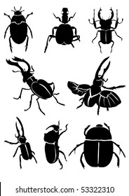 Vector illustration of black beetles on white background