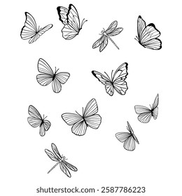 Vector illustration black butterfly, no background, unique