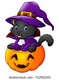Vector illustration of Black cat dressed as witch on a halloween pumpkin