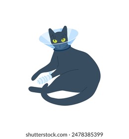 Vector illustration of a black cat with a protective veterinary cone collar, on its neck after operation or injury. Health treatment procedure for injured pets. 