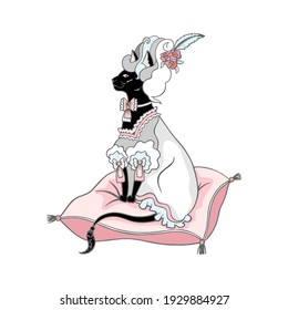 Vector illustration of a black cat in a wig and baroque rococo dress. Lady cat on a silk pillow isolated on white background.