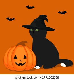 Vector illustration. Black cat in witch hat with pumpkin. Cartoon doodle Halloween poster, card, print