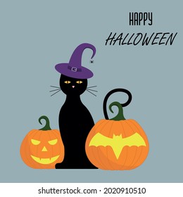 Vector illustration of a black cat in a witch hat with pumpkins.