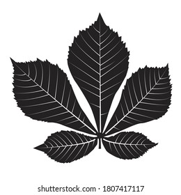 Vector illustration of a black chestnut leaf on a white background.
