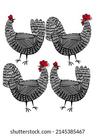 Vector illustration black of a chicken and rooster drawing isolated on white background.