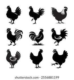 Vector illustration of a black cock silhouette. Isolated white background. Icon cock side.