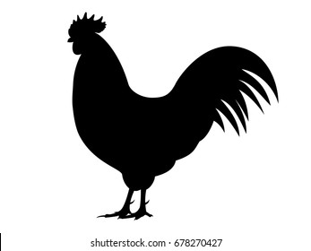 Free Black Cocks