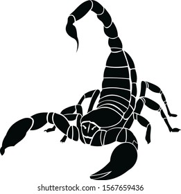 vector illustration of black color scorpion silhouette