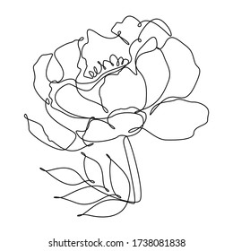 Vector illustration of black contour bud peony flower isolated on white background. One line drawing of a beautiful flower and leaves in a minimalist style.