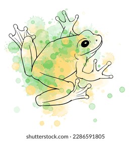 Vector illustration of black contour frog on watercolor spots background.