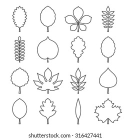 Vector illustration: black contours of tree leaves (elm, beech, ash, linden, birch, alder, aspen, rowan, hawthorn, walnut, apple, oak, acacia, chestnut, conker etc.) isolated on white background