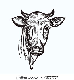 vector illustration black cow hand drawn ink. vector eps 8