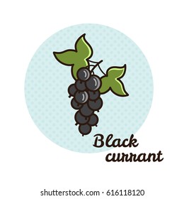 Vector illustration of black currant.