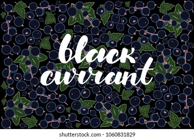 vector illustration of black currant berry and leaf design with lettering black currant background black and berry and text fresh farm product 100% natural EPS10