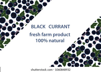 vector illustration of black currant berry and leaf design background white and berry and text fresh farm product 100% natural EPS10