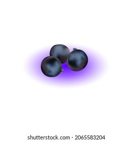 Vector illustration. Black currant on white background.