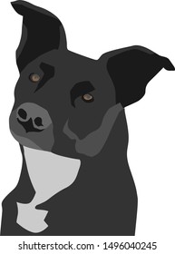 vector illustration of black dog