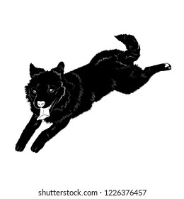 Vector illustration. Black dog lying, isolated on white background.EPS 8