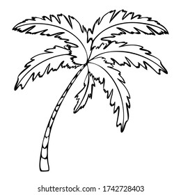 Vector illustration in black doodle style. Sea vacation palm tree isolated on a white background
