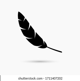 Vector illustration of black feather on light background.