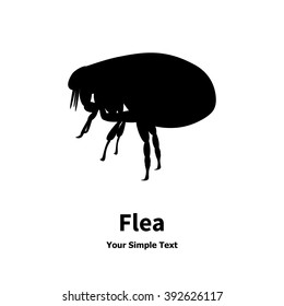 Vector Illustration Of Black Fleas Icon. Isolated Silhouette On A White Background. Flea Is A Side View Profile.