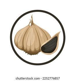 Vector illustration, black garlic bulb and clove isolated on white background.