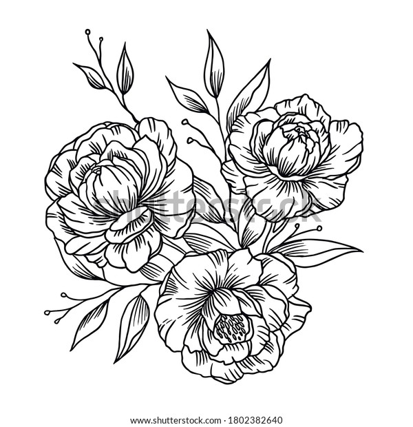 Vector Illustration Black Graphic Peonies Stock Vector (Royalty Free ...