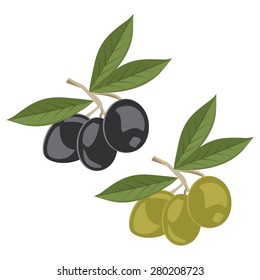 Vector illustration of black and green olive branches